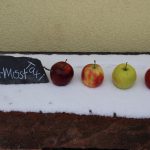 Verschneite Bank dekoriert mit Äpfeln