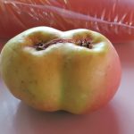 „Siamesischer Apfel“